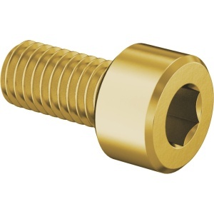 Brass Socket Head Screw M5 x 0.80 mm Thread size, 10 mm Long图2